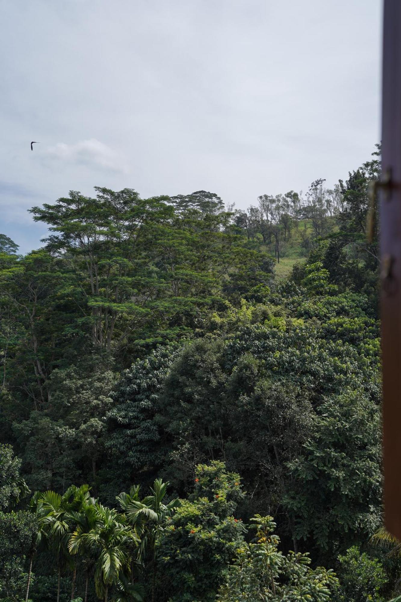 Hanthana House Kandy Eksteriør bilde